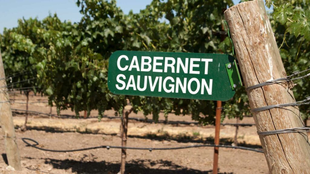 Cabernet-sauvignon