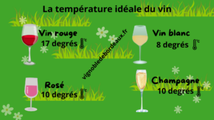 La température idéale du vin