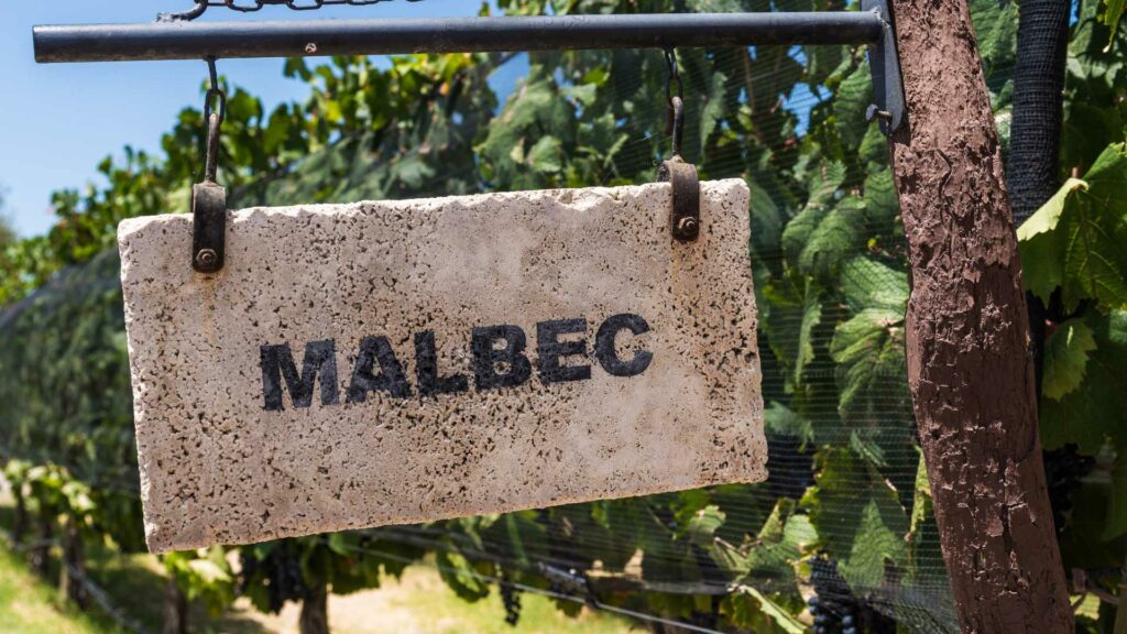 Malbec