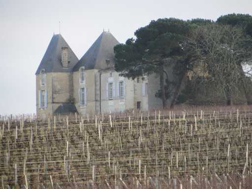 chateau yquem