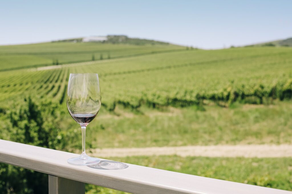 Verre de vin rouge sur fond de vignoble