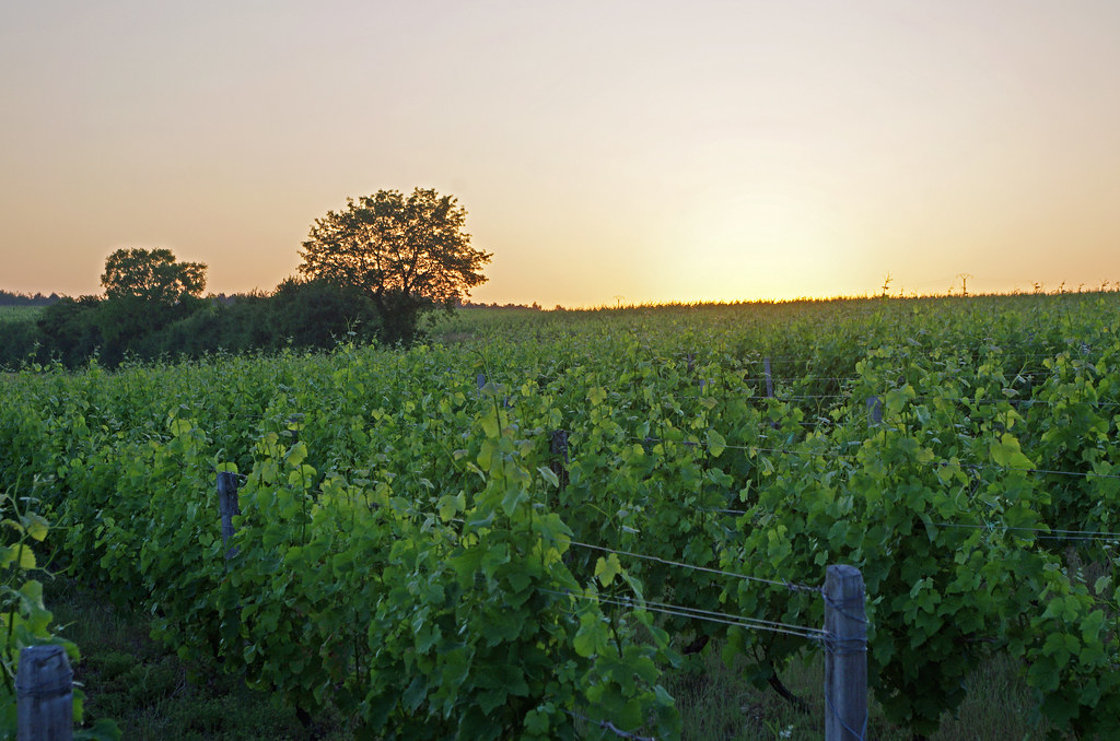 route des coteaux